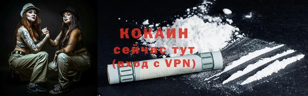 шишки Майский