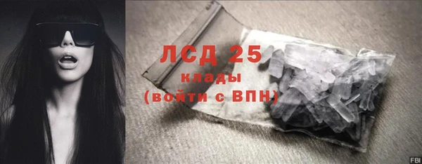 шишки Майский