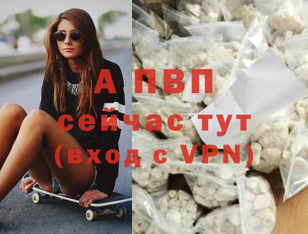 шишки Майский