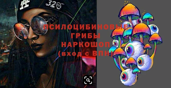 МДПВ Магас