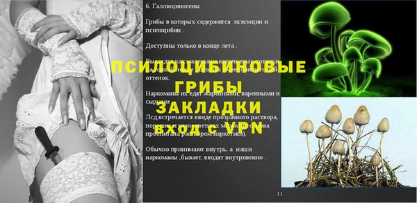 МДПВ Магас
