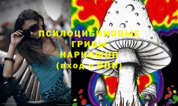 ECSTASY Магадан