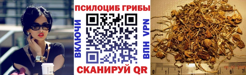 Купить где Чернушка Псилоцибиновые грибы ЛСД