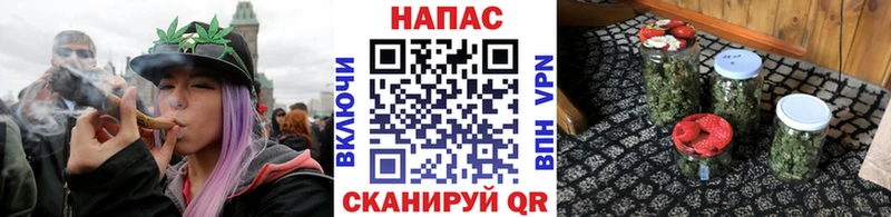 Купить где  Чернушка  Бошки Шишки Ganja 